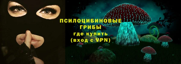 экстази Богородск